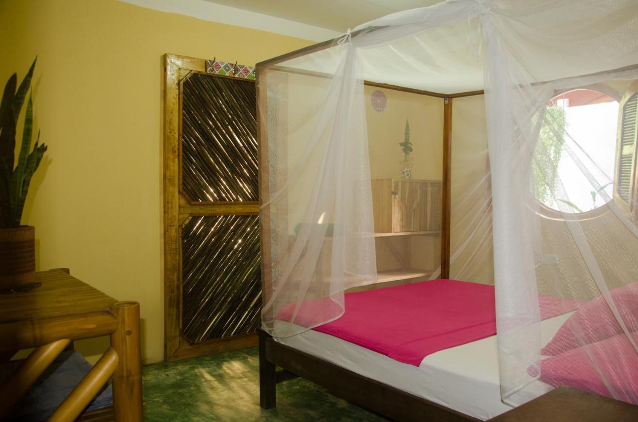 Hostal Corazon De Tagua Palomino Extérieur photo