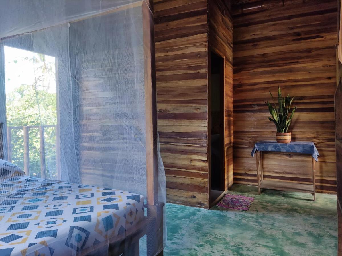 Hostal Corazon De Tagua Palomino Extérieur photo