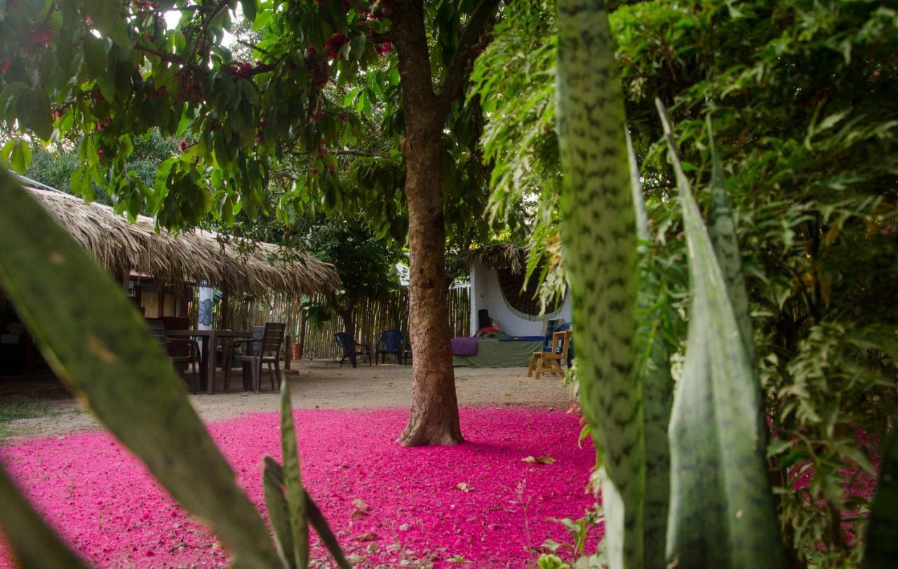 Hostal Corazon De Tagua Palomino Extérieur photo