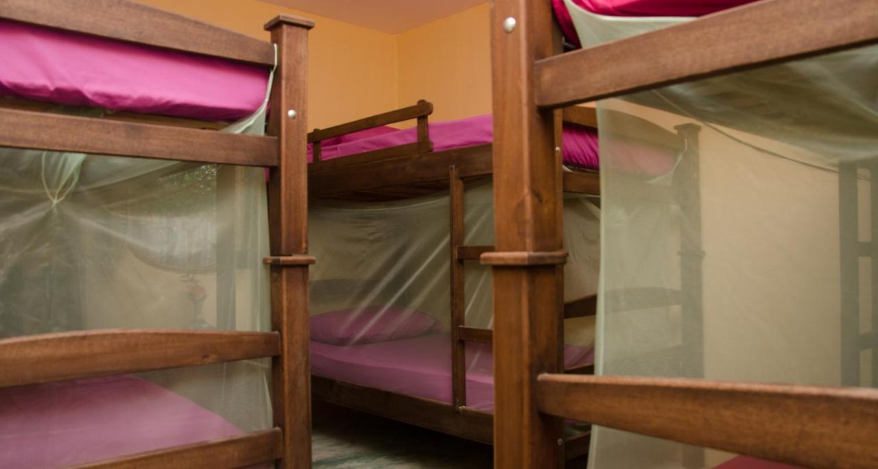 Hostal Corazon De Tagua Palomino Extérieur photo