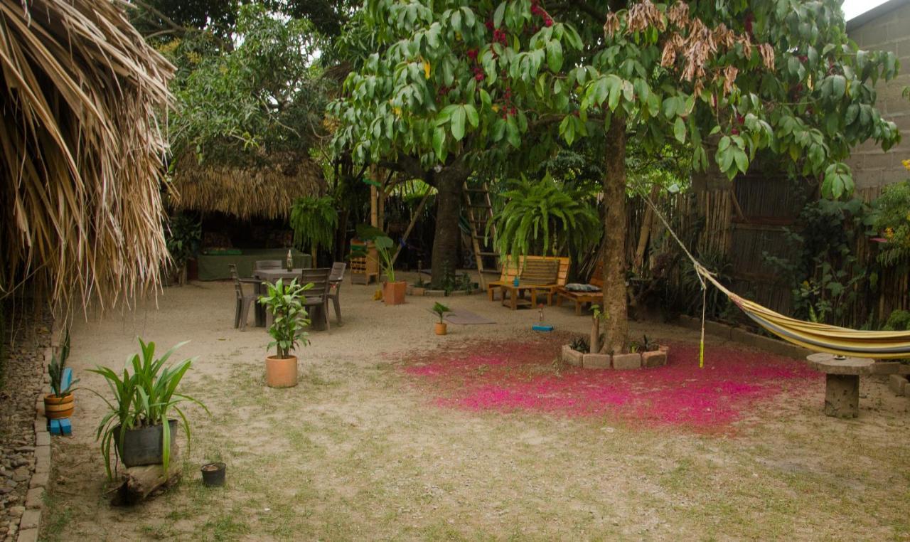 Hostal Corazon De Tagua Palomino Extérieur photo
