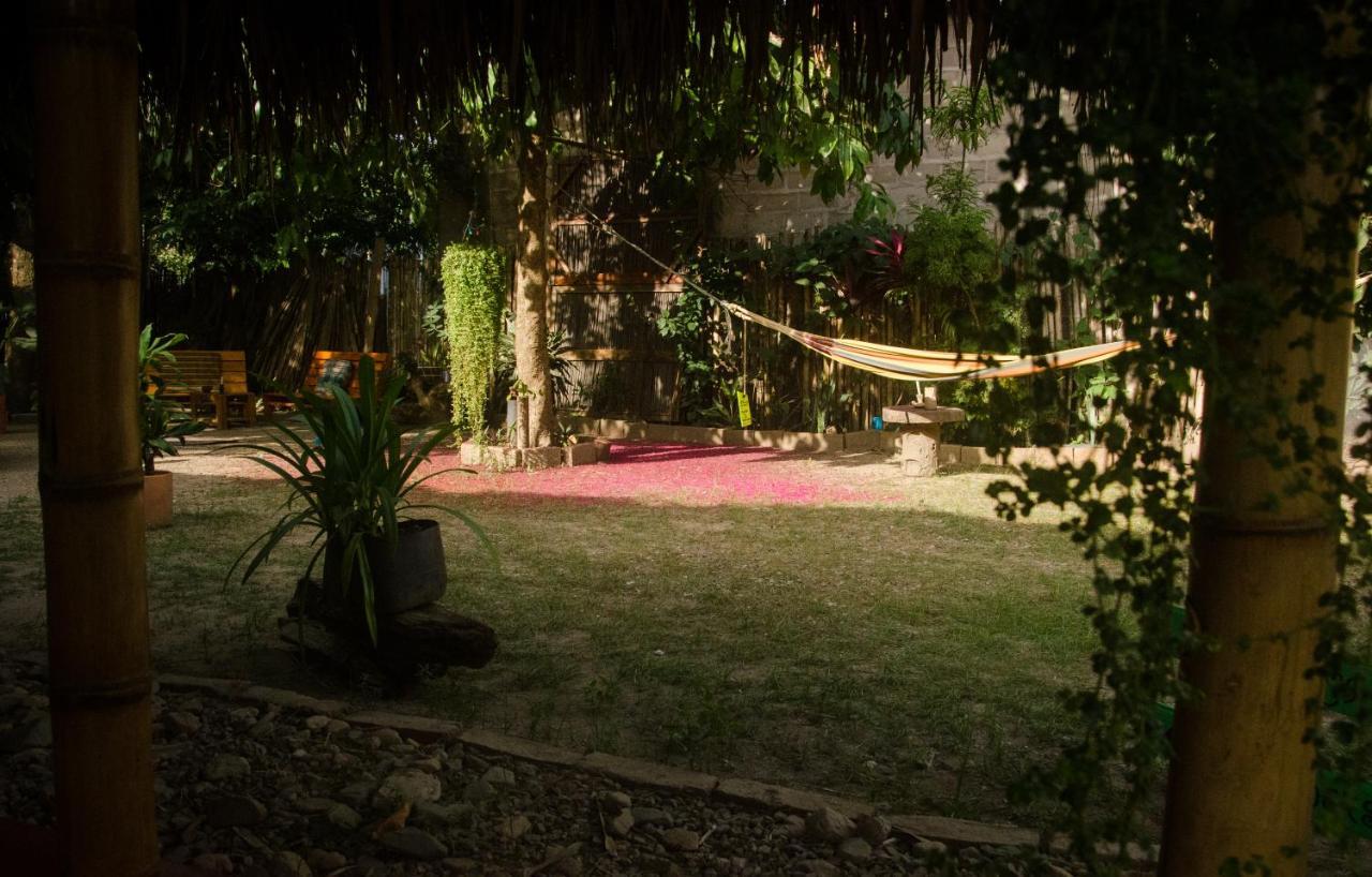 Hostal Corazon De Tagua Palomino Extérieur photo