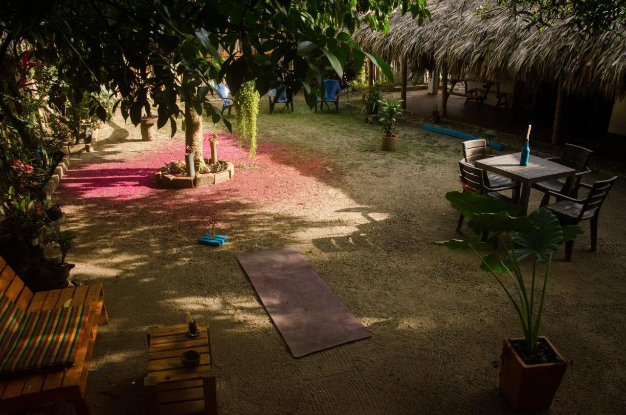 Hostal Corazon De Tagua Palomino Extérieur photo